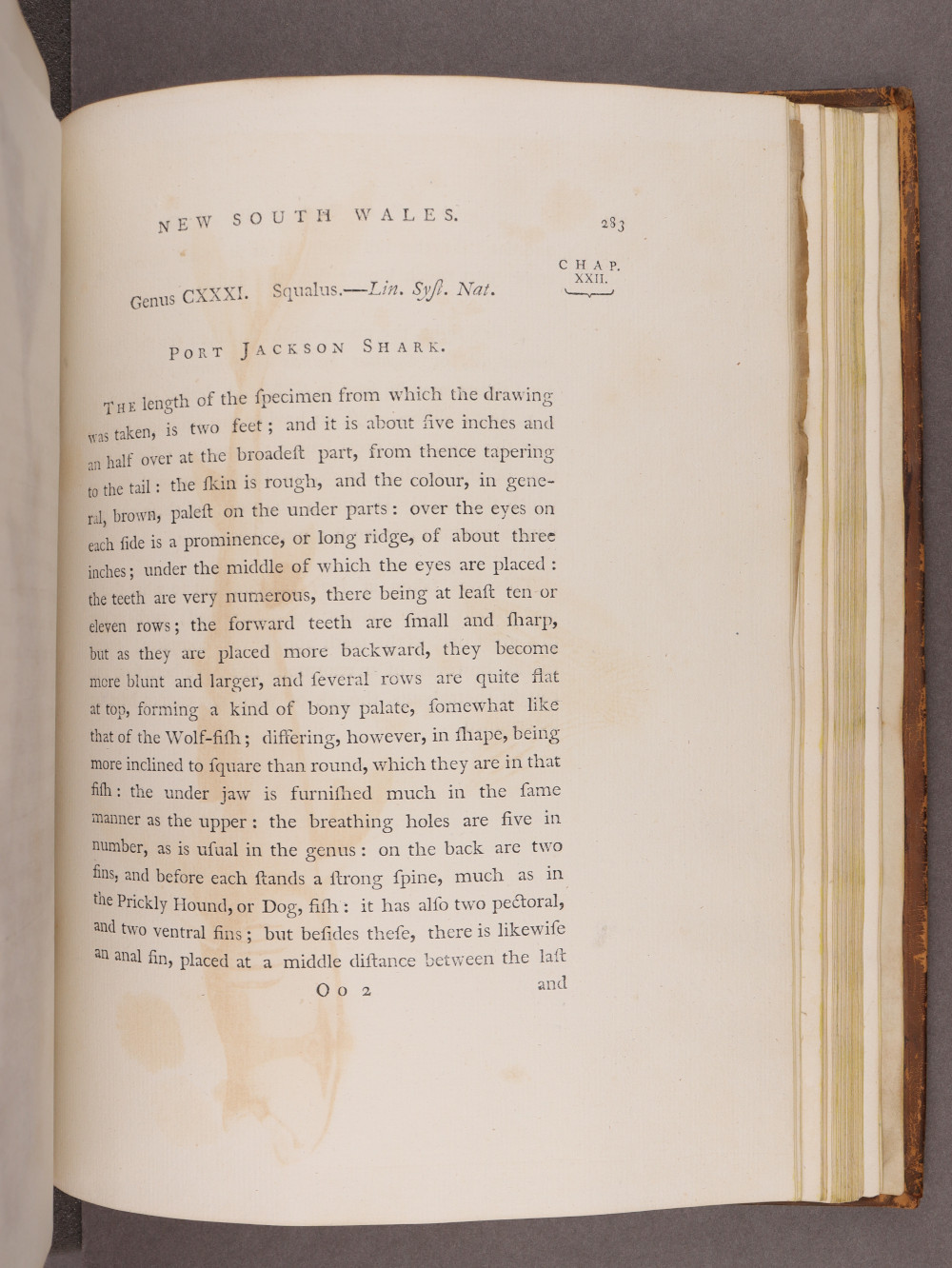 Page 283